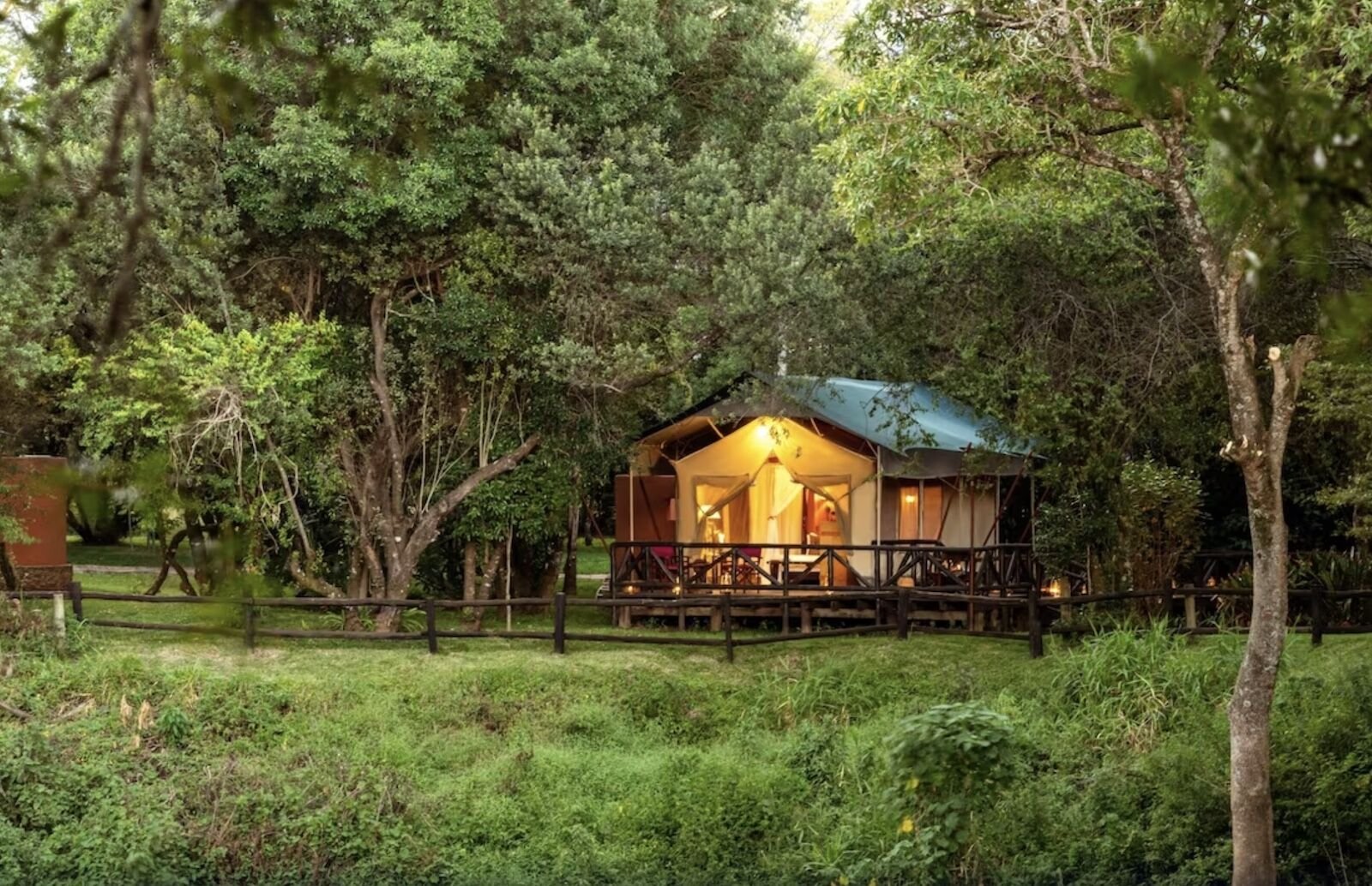   gorilla lodge